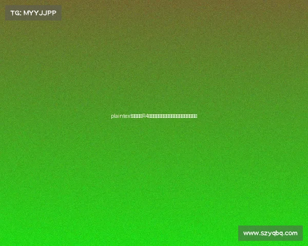 plaintext电竞术语R4揭秘:不仅是第四回合,更是联盟副指挥? plaintext电竞术语R4揭秘:不仅是第四回合,更是联盟副指挥?